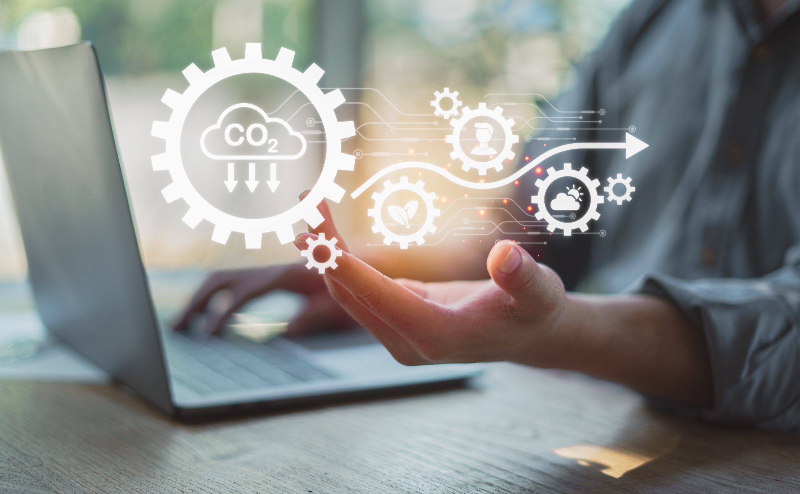 The Role of Interim Executives in Accelerating Renewable Energy Projects